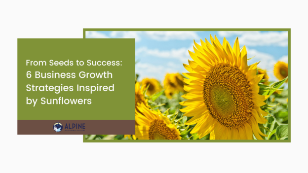 From Seeds to Success: 6 Business Growth Strategies Inspired by Sunflowers